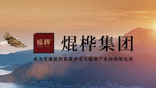 集团概述